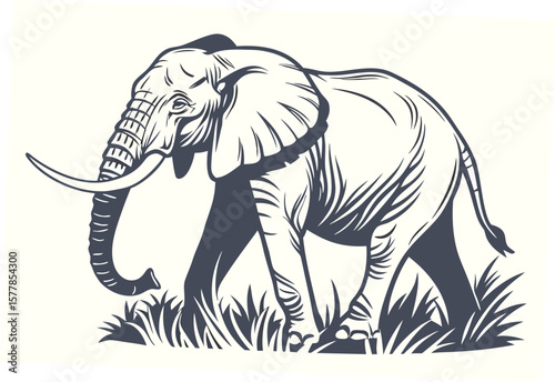 elephant vector illustration