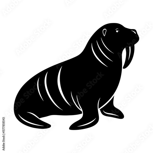 Marine mammal walrus arctic animal wildlife sea ocean vector art silhouette