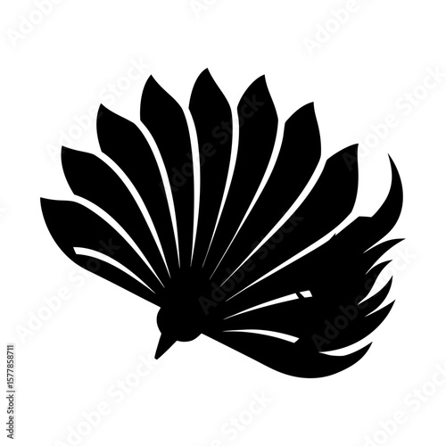 Peacock feather plumage avian elegant decoration silhouette