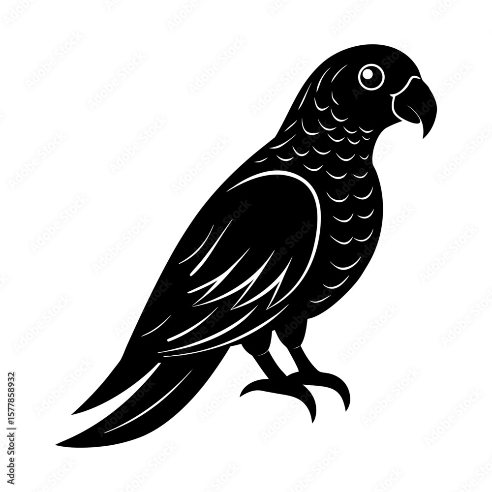 Obraz premium Exotic parrot illustration avian tropical bird silhouette art