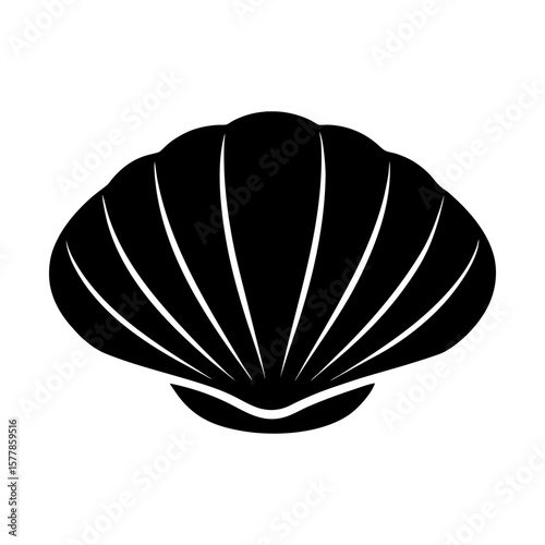 Seashell sea shell ocean beach summer vacation marine nature art silhouette