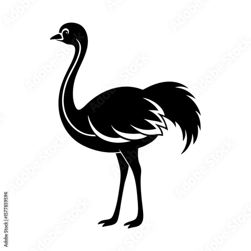 Ostrich vector illustration avian animal graphic design art silhouette