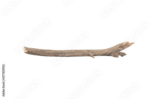 dry tree branches or wooden sticks for decoration or craft. Natural rustic element from a forest. isolated on white background with clipping path.