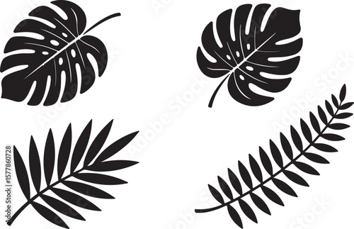 Tropical Leaves Silhouette Monstera, Palm & Fern Illustrations