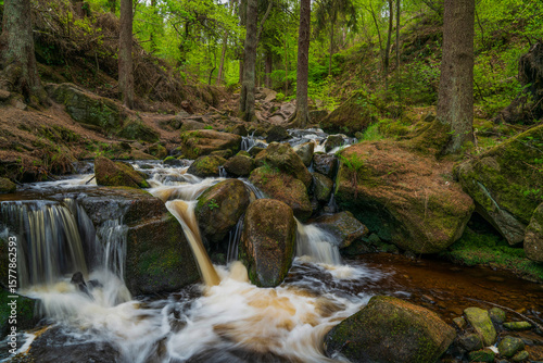 small waterfall in the forest