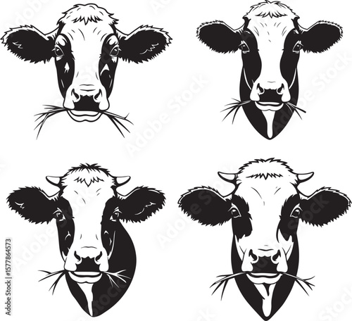 Four holstein cow faces chewing grass silhouette