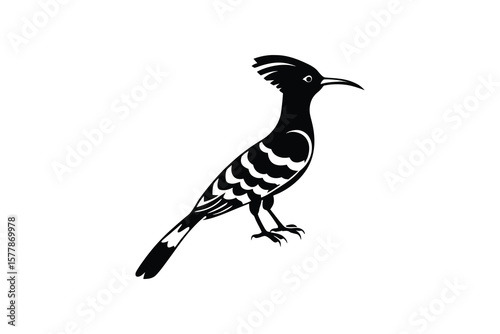 Elegant Hoopoe Bird Illustration in Black and White Silhouette Style Vector Graphic silhouette