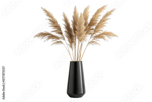 Elegant pampas grass arrangement in a black vase isolated on transparent background