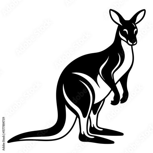 kangaroo vector illustration