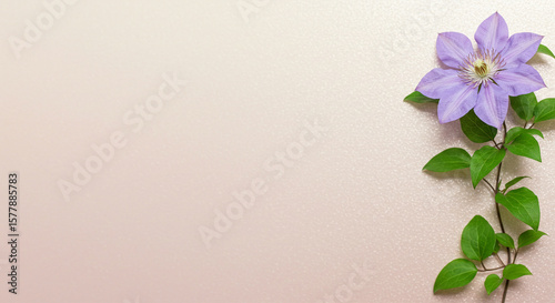 Lilac Clematis Blossom Delight Delicate Floral Beauty Green Leaves Artistic Still Life Floral Photography Pastel
