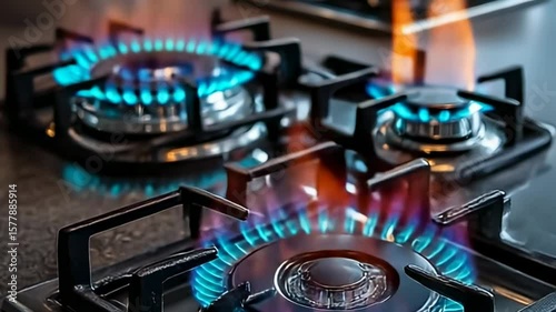 Lit gas burners on a modern stove