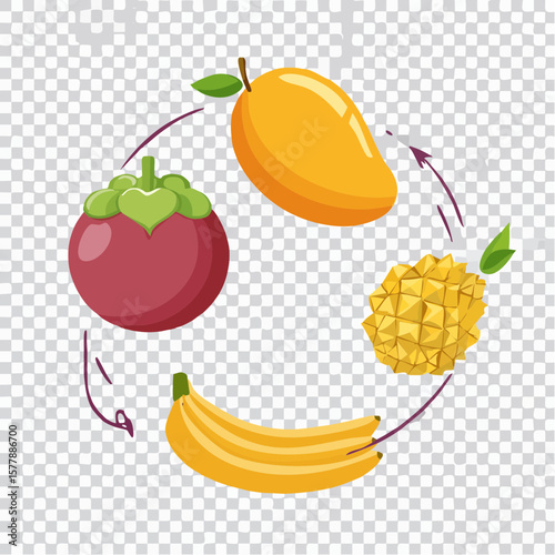 Cartoon Tropical Fruit Cycle Mangosteen Mango Pineapple and Banana