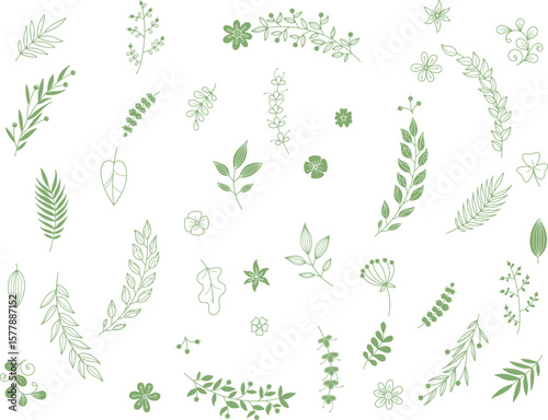  hand drawn Botanical Branch Vector Pack 