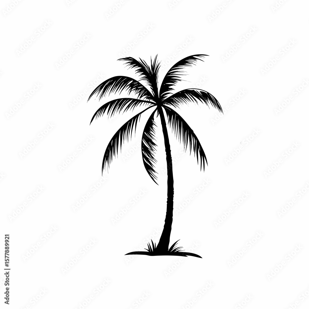 Fototapeta premium Palm Tree Vector Art with Black Silhouette Design