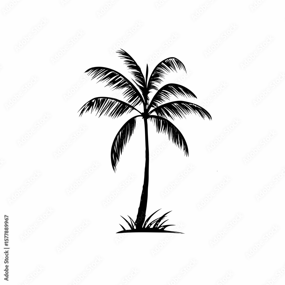 Obraz premium Palm Tree Vector Art with Black Silhouette Design