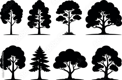Seamless Pattern of Black Tree Silhouettes on a White Background Featuring Various Shapes and Sizes of Deciduous and Evergreen Trees in a Row