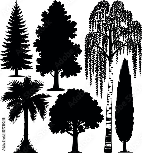 Collection of Tree Silhouettes in Black Color Including Pine Palm Birch and Other Deciduous and Evergreen Varieties Isolated on a White Background