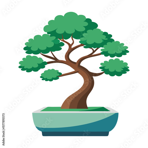 Elegant bonsai tree with lush leaves and a sturdy trunk, a beautiful illustration perfect for garden or nature-themed design projects, isolated on white