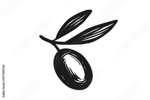 Olive branch illustration depicting nature's bounty with leaves and fruit against a simple background