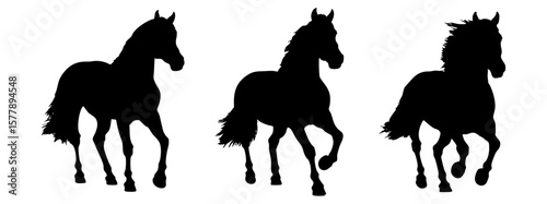 set of black horse silhouette vector
