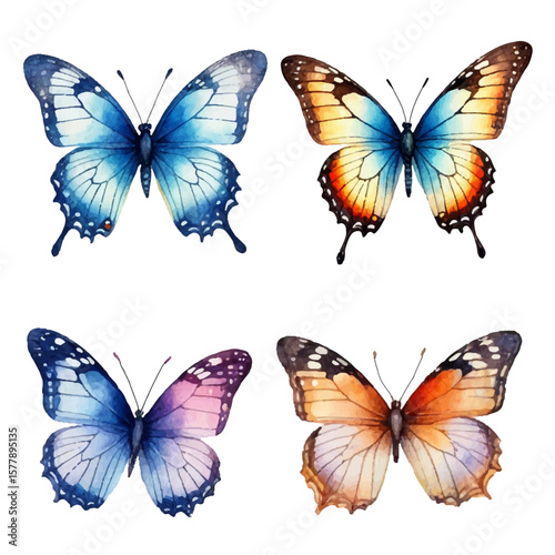 Colorful set of summer butterflies. Vector illustration isolated on white background