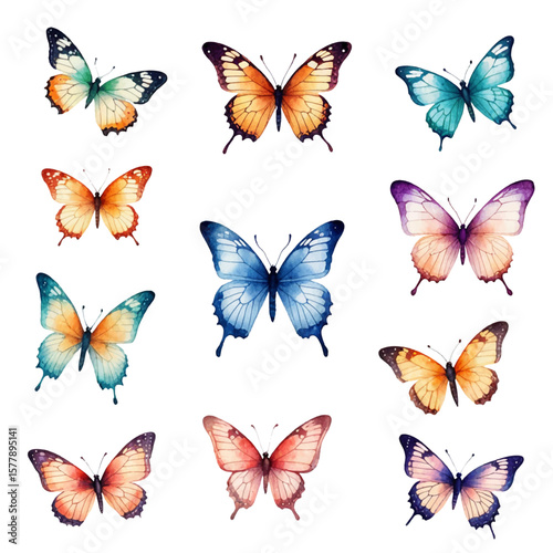 Colorful set of summer butterflies. Vector illustration isolated on white background