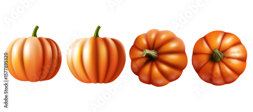 natural pumpkins top view and front view design isolated on the white background vector illustration.