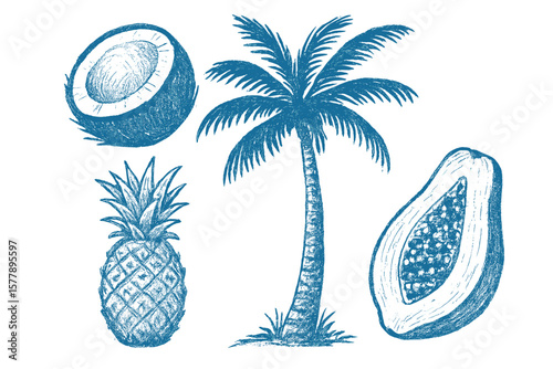 Tropical fruit illustrations with palm tree, coconut, pineapple, and papaya in blue ink on white background