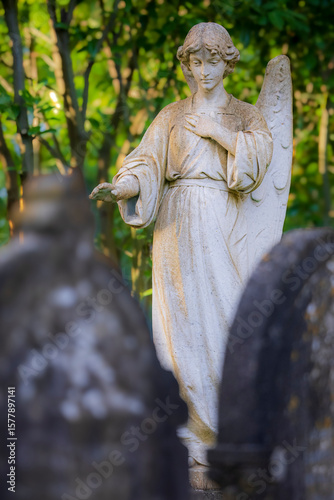 Serene Angel Statue in Ancient Cemetery Sunlight