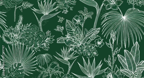 Detailed White Line Art of Tropical Flora on a Dark Green Field.