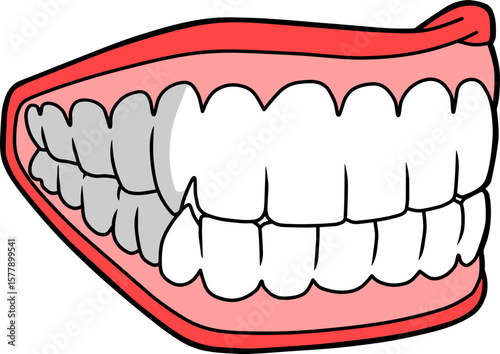 lips and teeth vector illustration isolated on white background