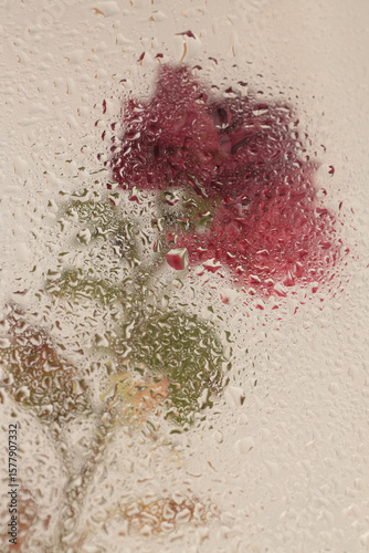 Smoke soft focus red flower through glass with wet water drops. Abstract natural blur background.