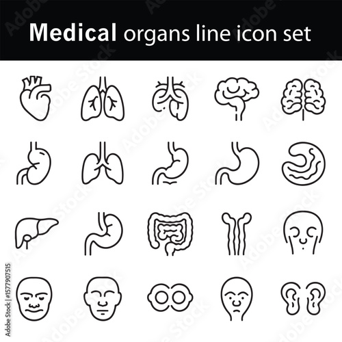 Anatomy Icon Collection – Clean Line Art Illustrations of Human Organs. liner & Illustration.