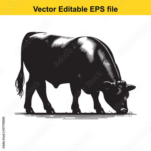 A silhouette cow/bull grazing in a grassy field, Black and white illustration
