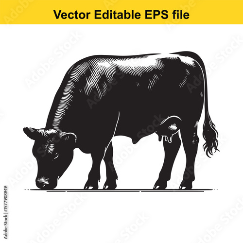 A silhouette cow/bull grazing in a grassy field, Black and white illustration