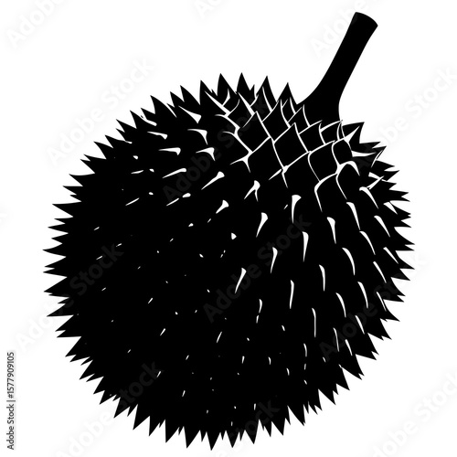 A spiky durian fruit isolated on white background, a tropical delicacy