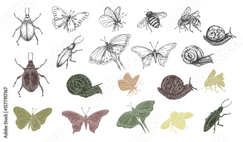 Butterfly, bugs, bee and snail outline vector clipart hand drawn. Silhouette of insects in soft green and red colors. Beautiful insects clipart for design nature journals, fabrics, and scrapbooking.