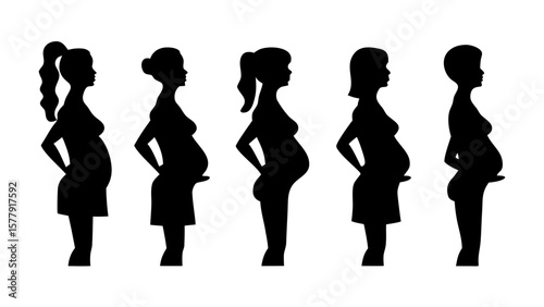 Pregnant Woman Silhouette PNG Set – Stages of Pregnancy Clipart with Transparent Background