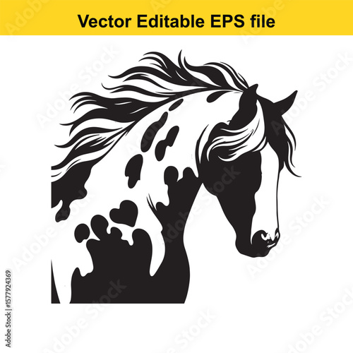 Spotted horse illustration isolated on white background