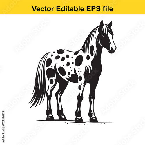 Spotted horse illustration isolated on white background