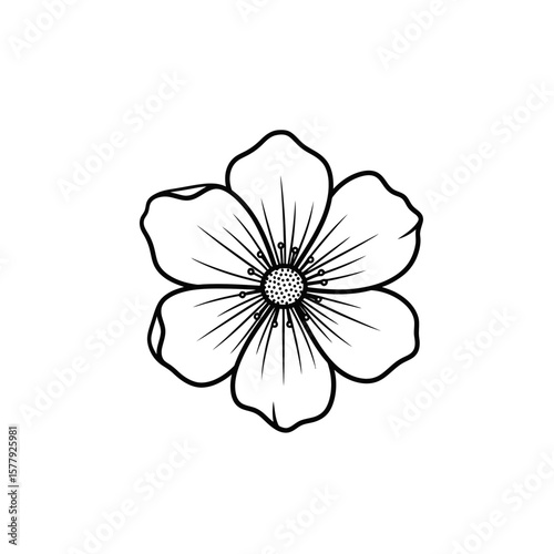 Outline flower illustration on transparent background  