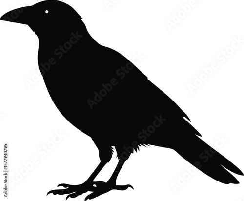 raven, crow bird silhouette vector symbol