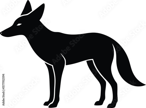 jackal, coyote isolated vector illustration