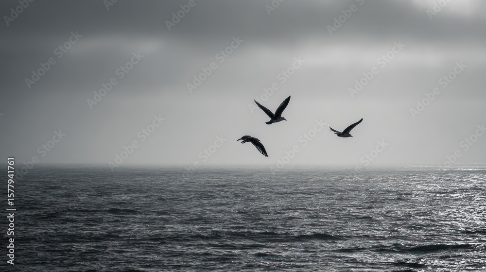 Fototapeta premium Three birds in flight over a gray sea