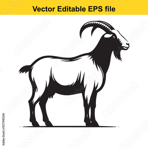 A horned goat with a beard, Silhouette,  isolated on white background