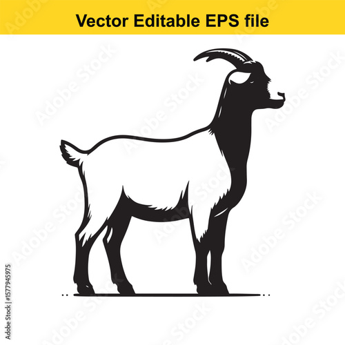 A horned goat with a beard, Silhouette,  isolated on white background