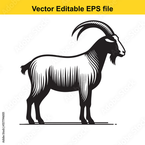 A horned goat with a beard, Silhouette,  isolated on white background