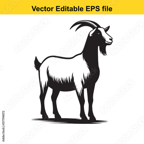 A horned goat with a beard, Silhouette,  isolated on white background
