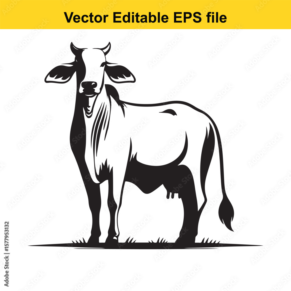 Fototapeta premium Illustration of a Brahman cow/ Zebu bull standing in a field, vector art