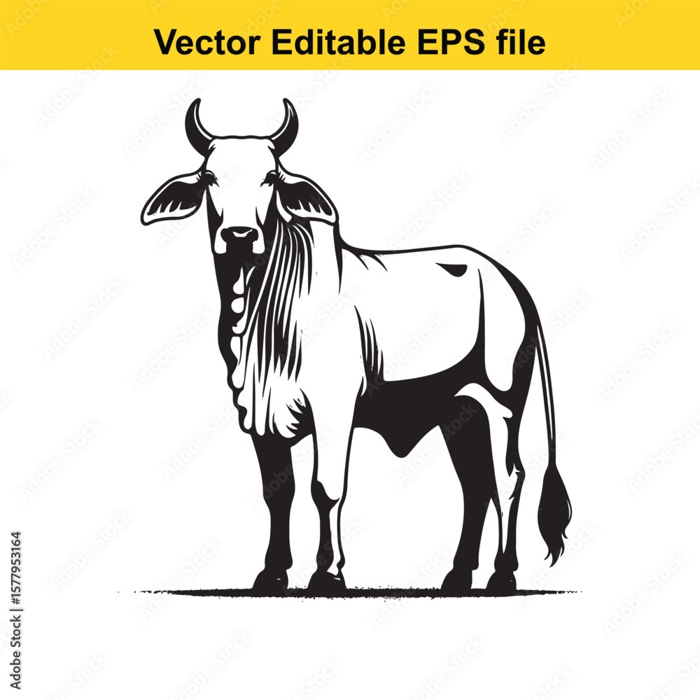 Fototapeta premium Illustration of a Brahman cow/ Zebu bull standing in a field, vector art